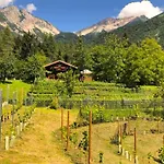 Alpehytte Relax Tra Le Vigne Forni di Sotto