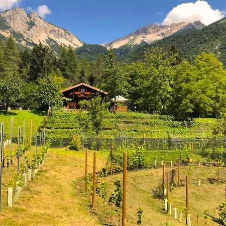 샬레 Relax Tra Le Vigne Forni di Sotto