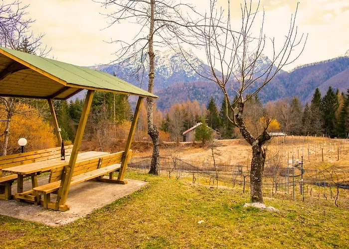 Relax Tra Le Vigne Σαλέ