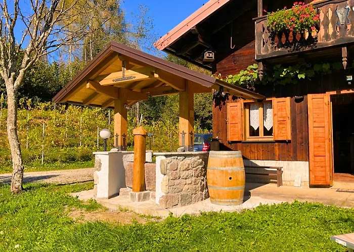 Relax Tra Le Vigne *