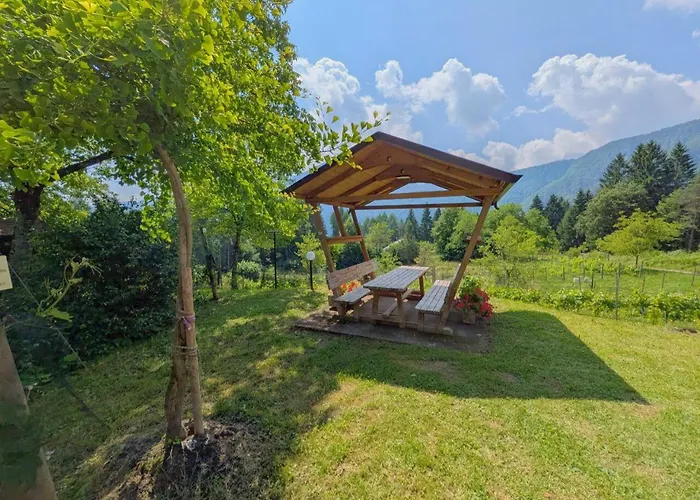 Relax Tra Le Vigne Forni di Sotto